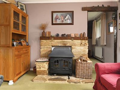 Picture 7